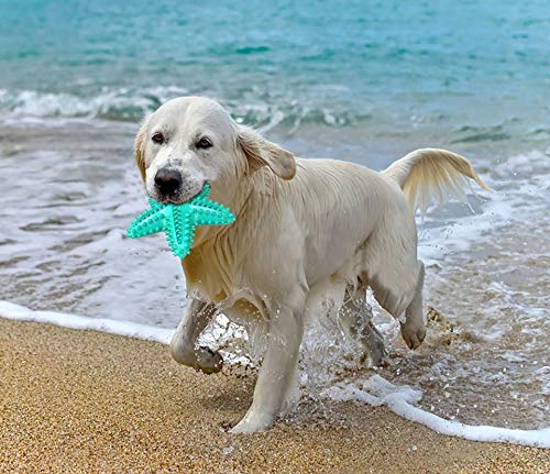 IDOLPET starfish toy with grooves for toothpaste application