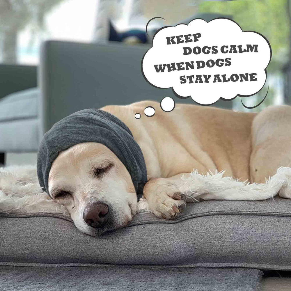 IDOMIK three sizes head wrap fits Beagle to Labrador