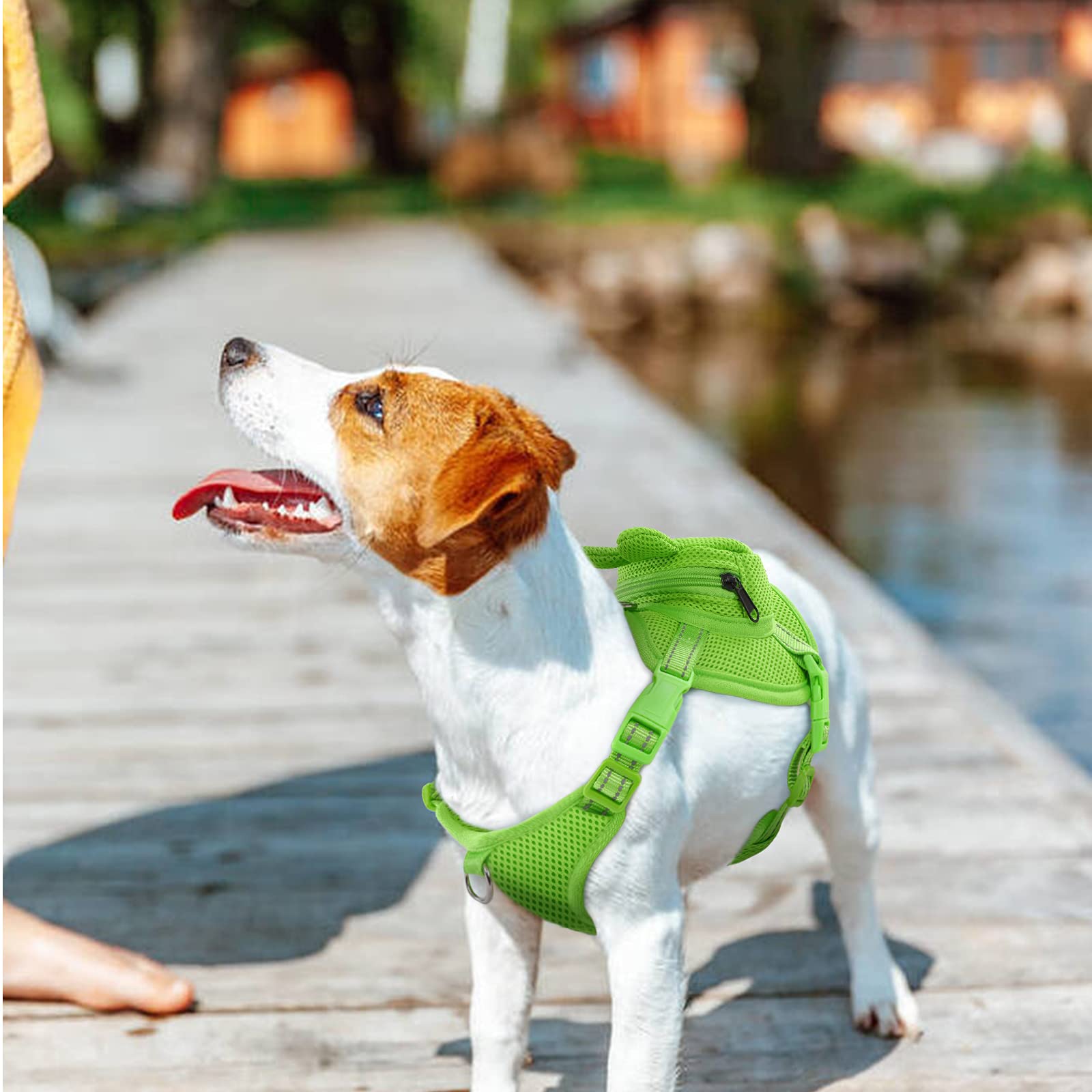 IDOMIK travel-ready frog backpack holds food, water, and toys
