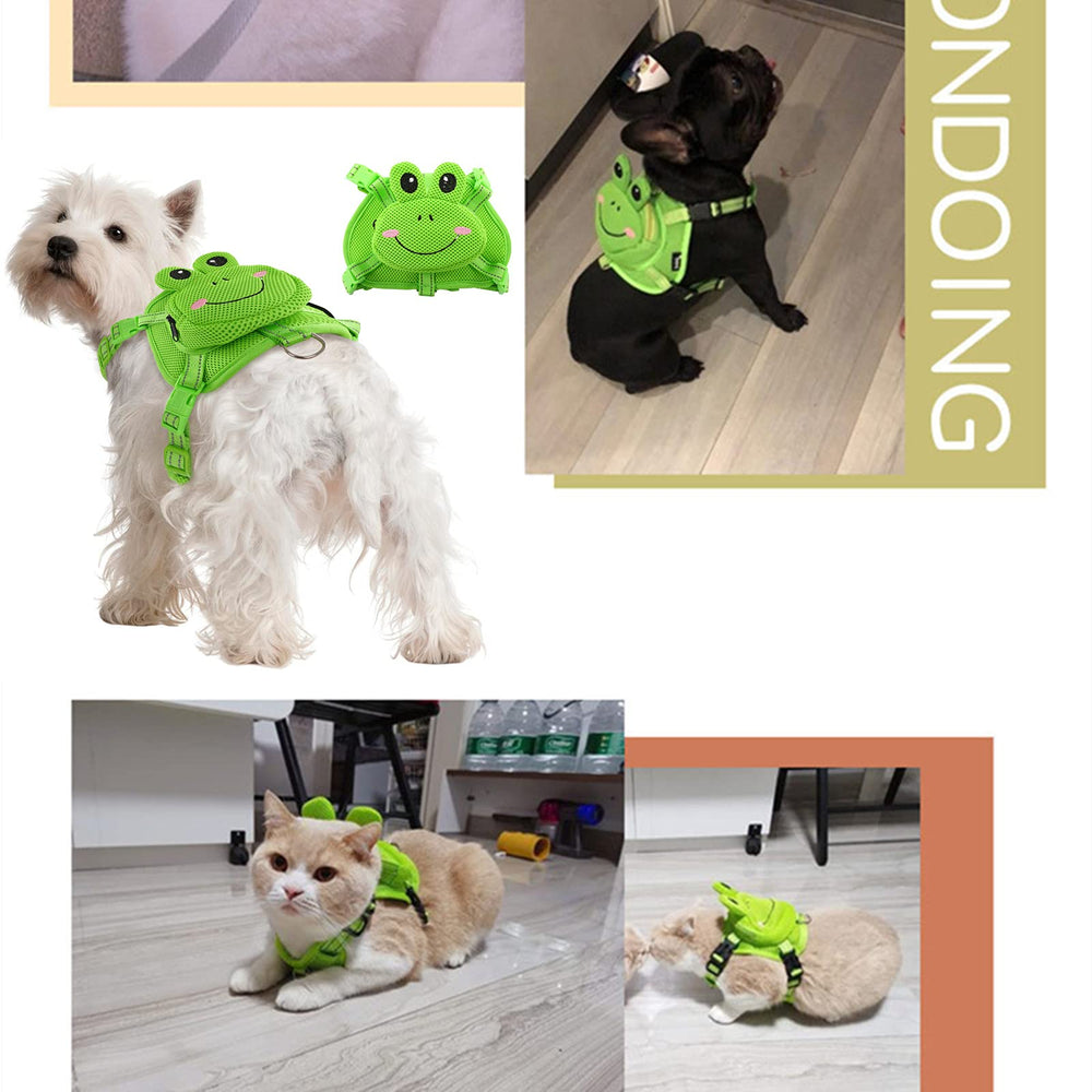 IDOMIK frog backpack is ideal for small and medium dogs