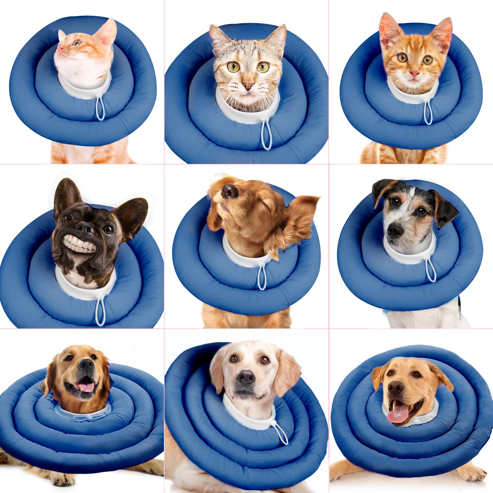 IDOMIK dog recovery collar during-rest-play illustrates versatile daily use