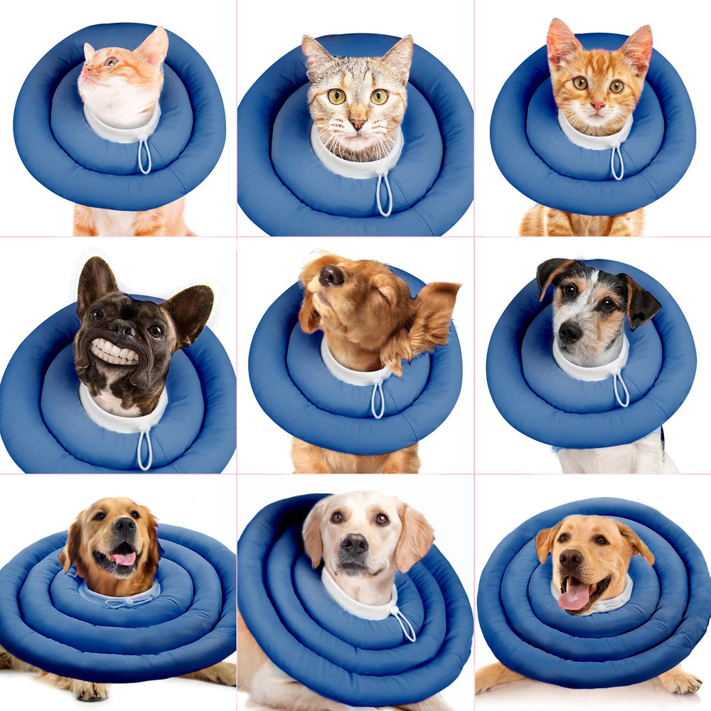 IDOMIK dog recovery collar during-rest-play illustrates versatile daily use
