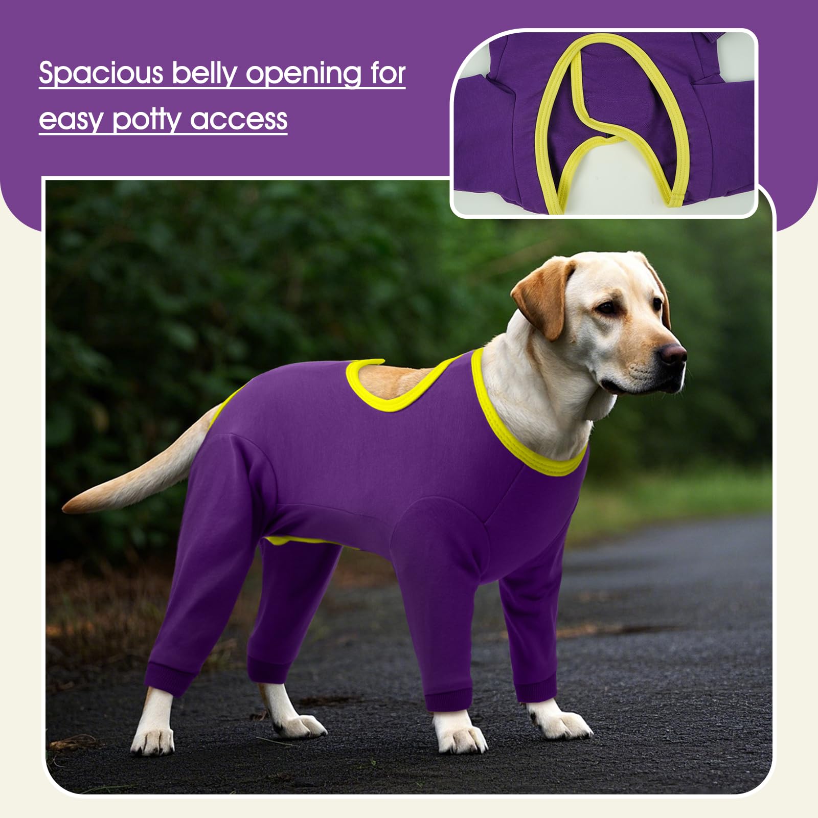 IDOMIK dog recovery suit with adjustable neck and chest for a snug fit.