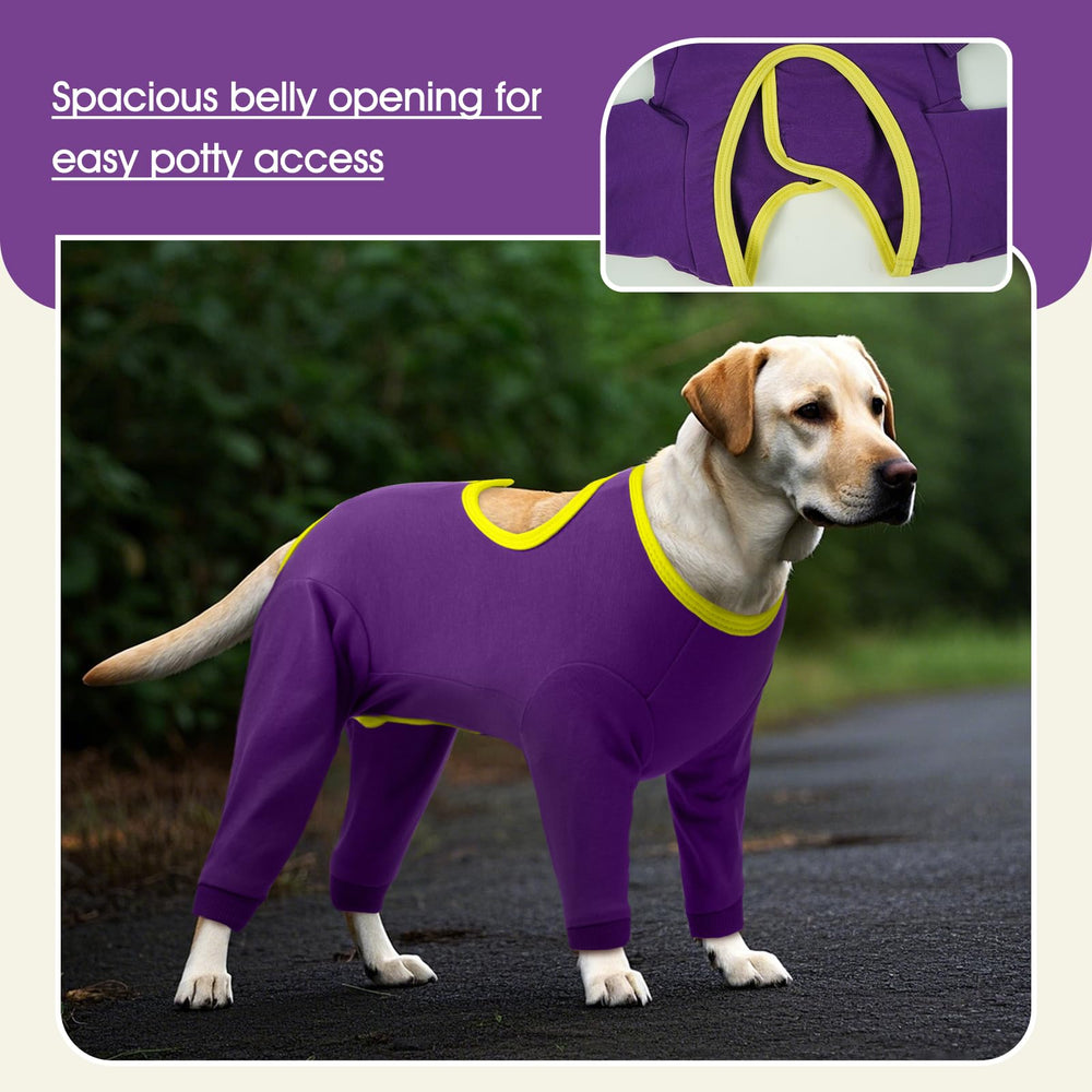 IDOMIK dog recovery suit with adjustable neck and chest for a snug fit.