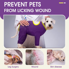 IDOMIK dog recovery suit in motion demonstrates unrestricted movement after surgery.
