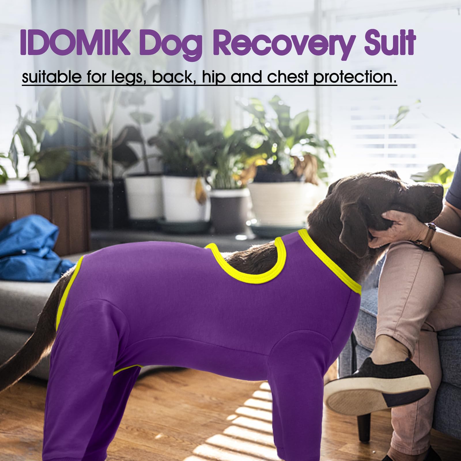 IDOMIK dog recovery suit ready to wash, machine washable for easy care.