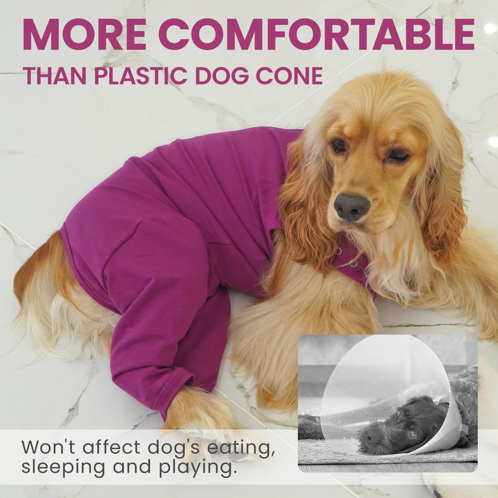 IDOMIK dog recovery suit purple abdomen-oval cutout provides pee access for male dogs.