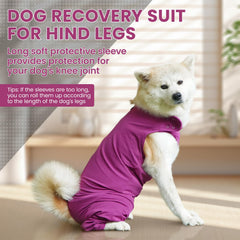 IDOMIK dog recovery suit purple rear-leg coverage protects wounds without restricting movement.