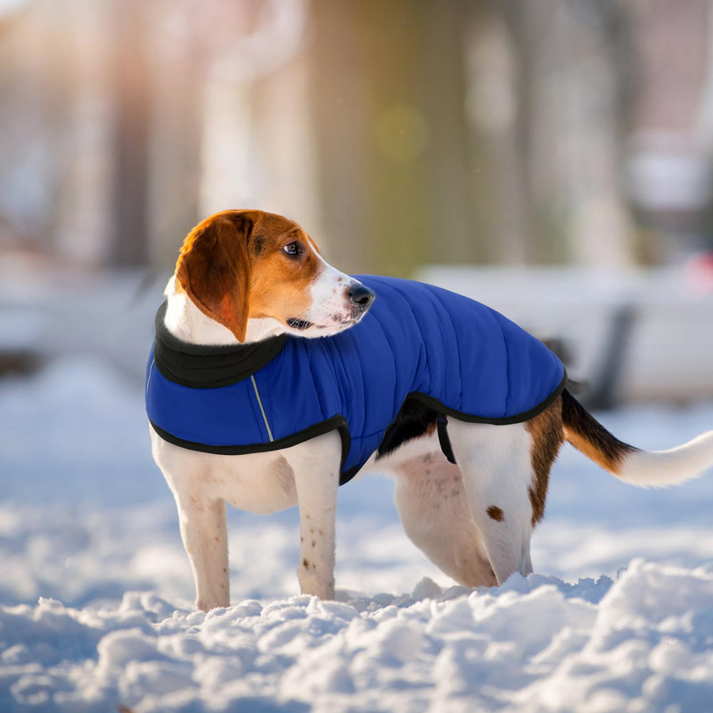IDOMIK dog winter coat full belly coverage blocks wind and snow