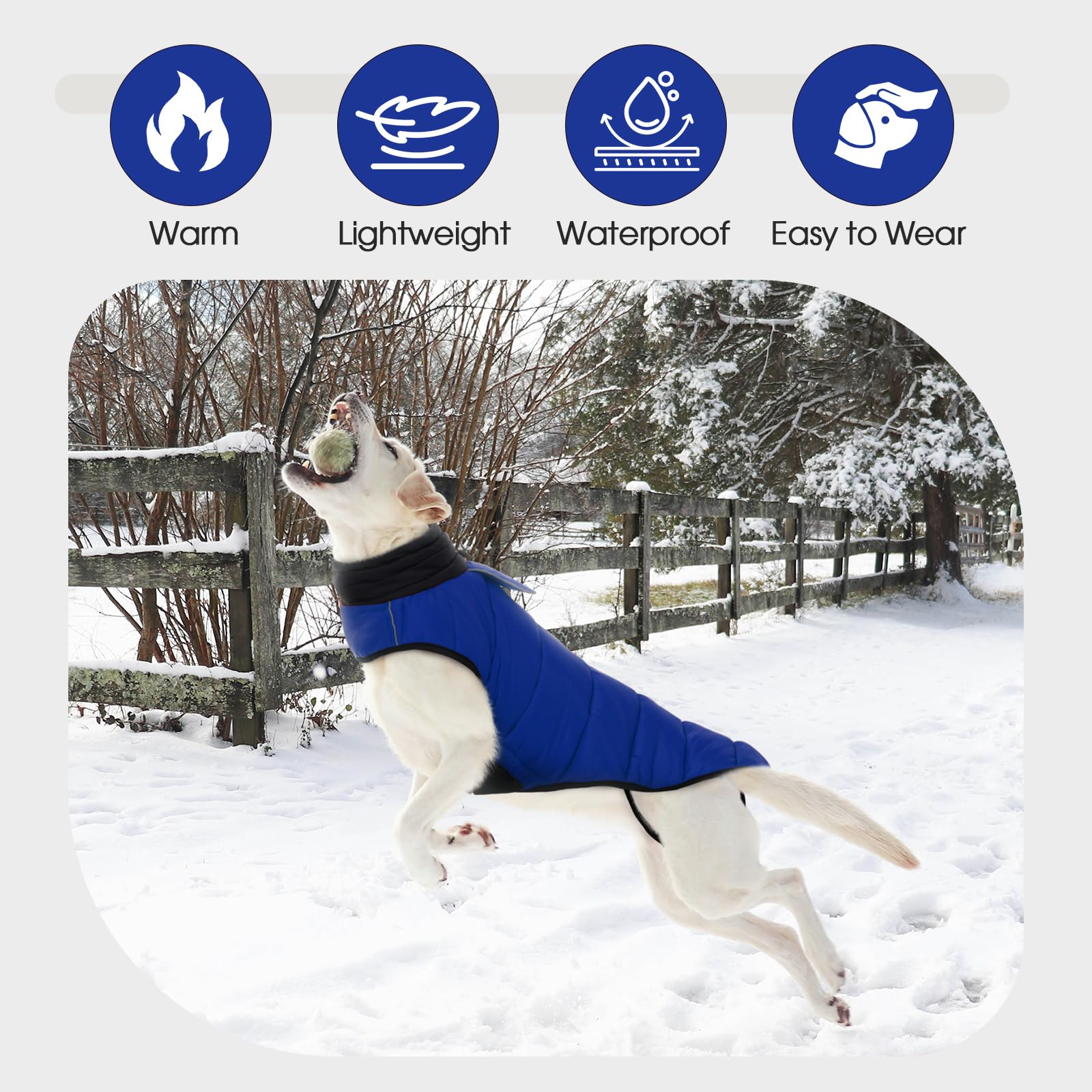 IDOMIK dog winter coat elastic leg straps prevent riding up during play