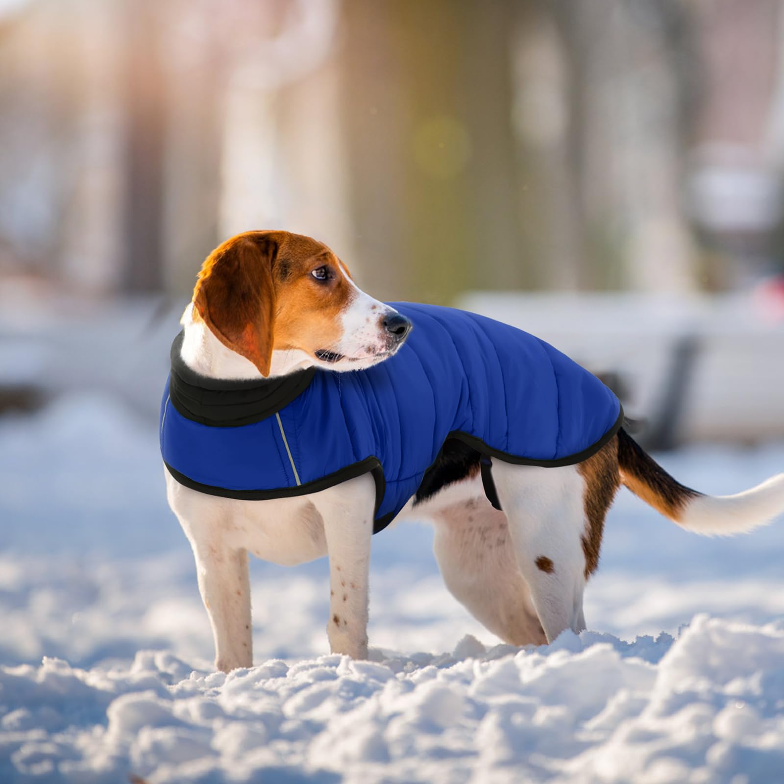IDOMIK dog winter coat size range XS-3XL fits many breeds