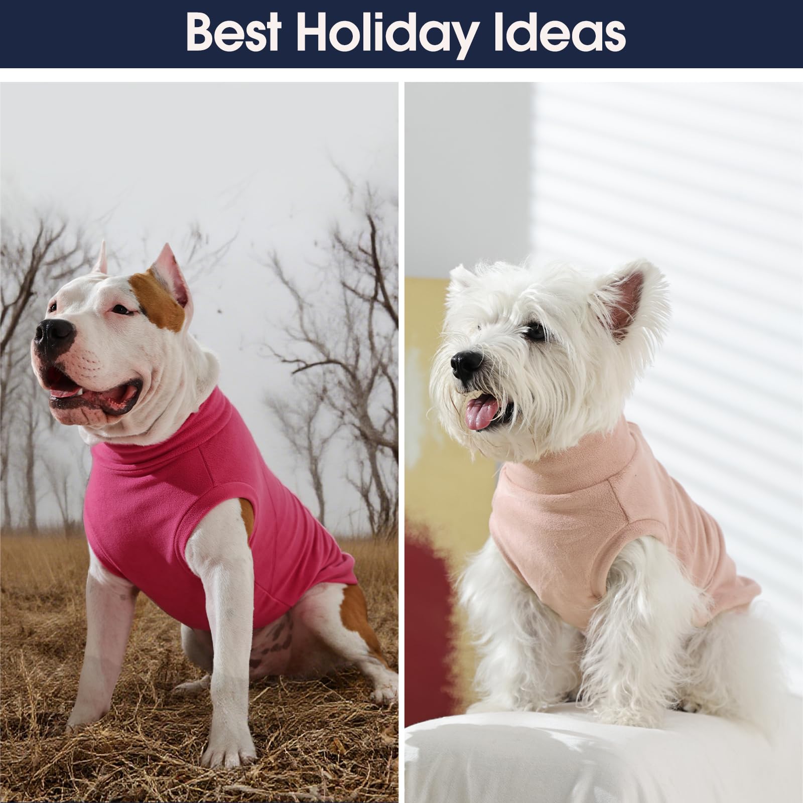 IECOii 2Pack 3XL dog sweater warmth for cozy outdoor strolls.