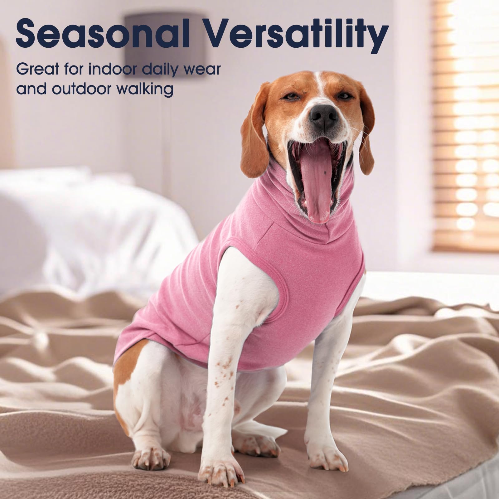 IECOii 4XL dog sweater worn during a walk shows practical warmth