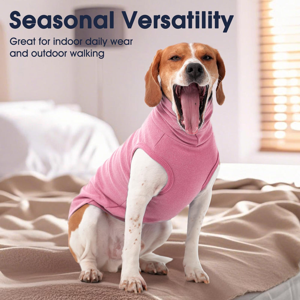 IECOii 4XL dog sweater worn during a walk shows practical warmth