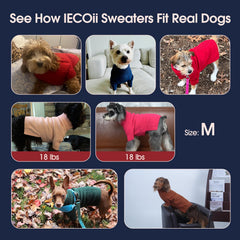 IECOii Dachshund Sweater brown color complements small dogs' style