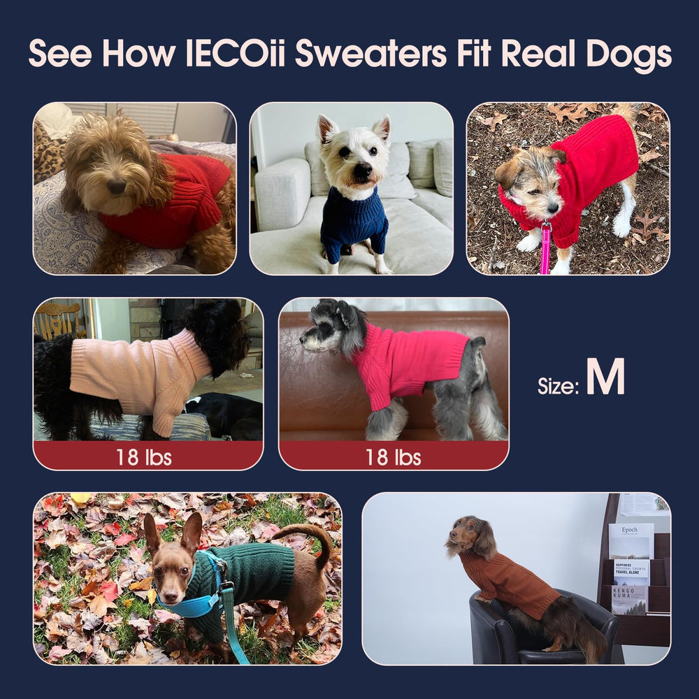 IECOii dachshund sweater close-up highlights turtleneck and belly cut for comfort