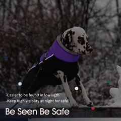 IECOii dog coat coral fleece inside closeup showing warmth soft lining