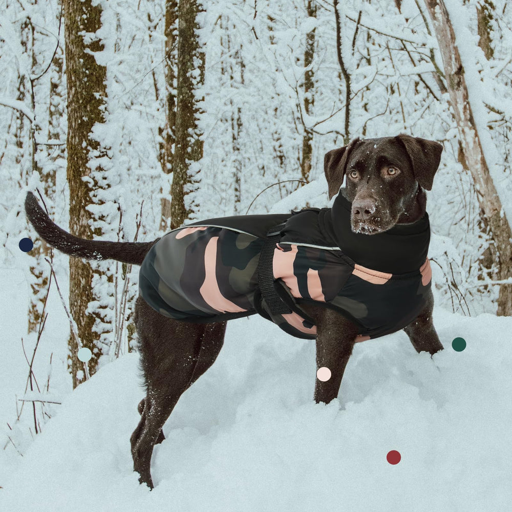 IECOii coat high collar with drawstring protects ears from cold wind.