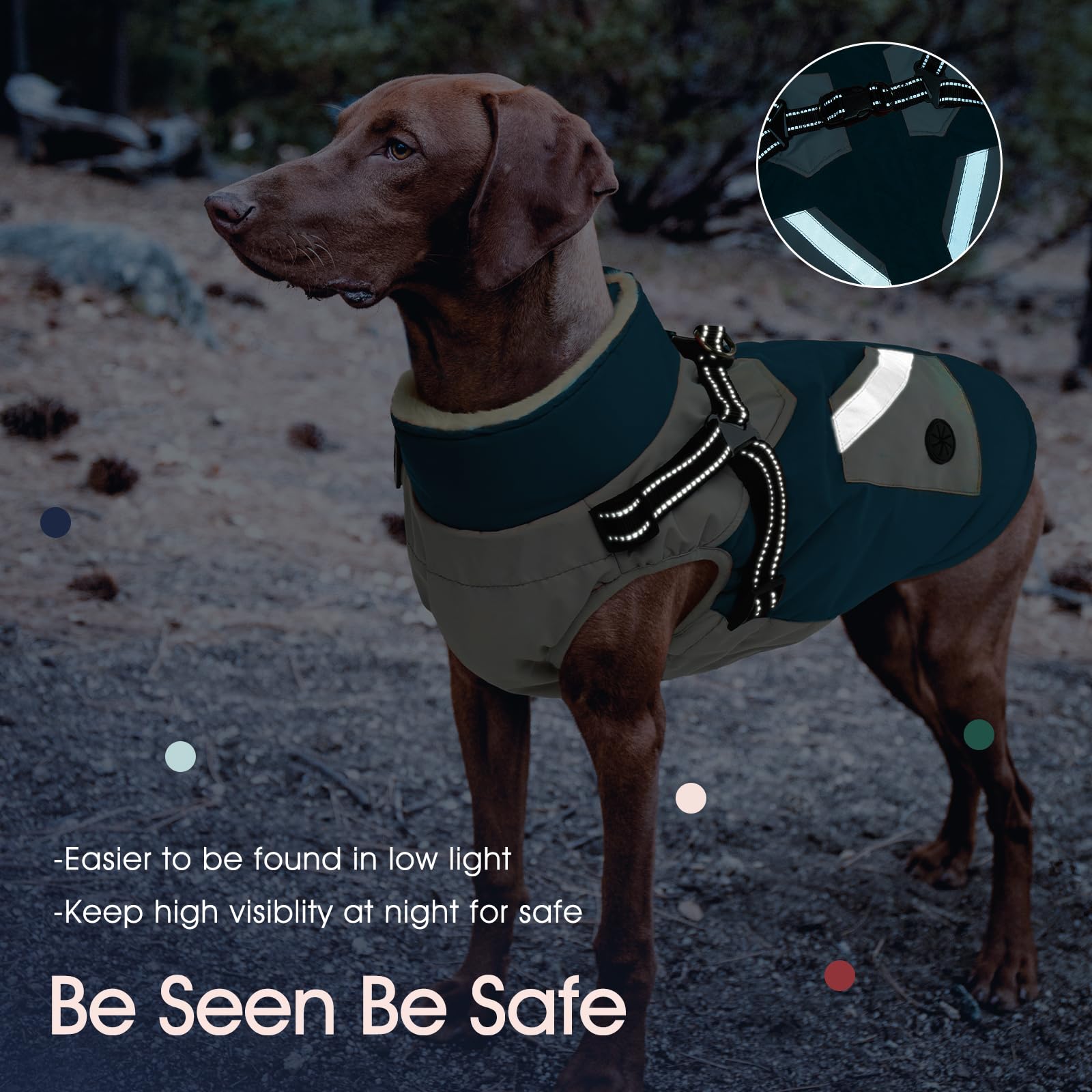 IECOii coat features reflective straps for safe night walks.