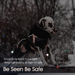 IECOii dog coat in waterproof windproof fabric keeps your dog dry outdoors.