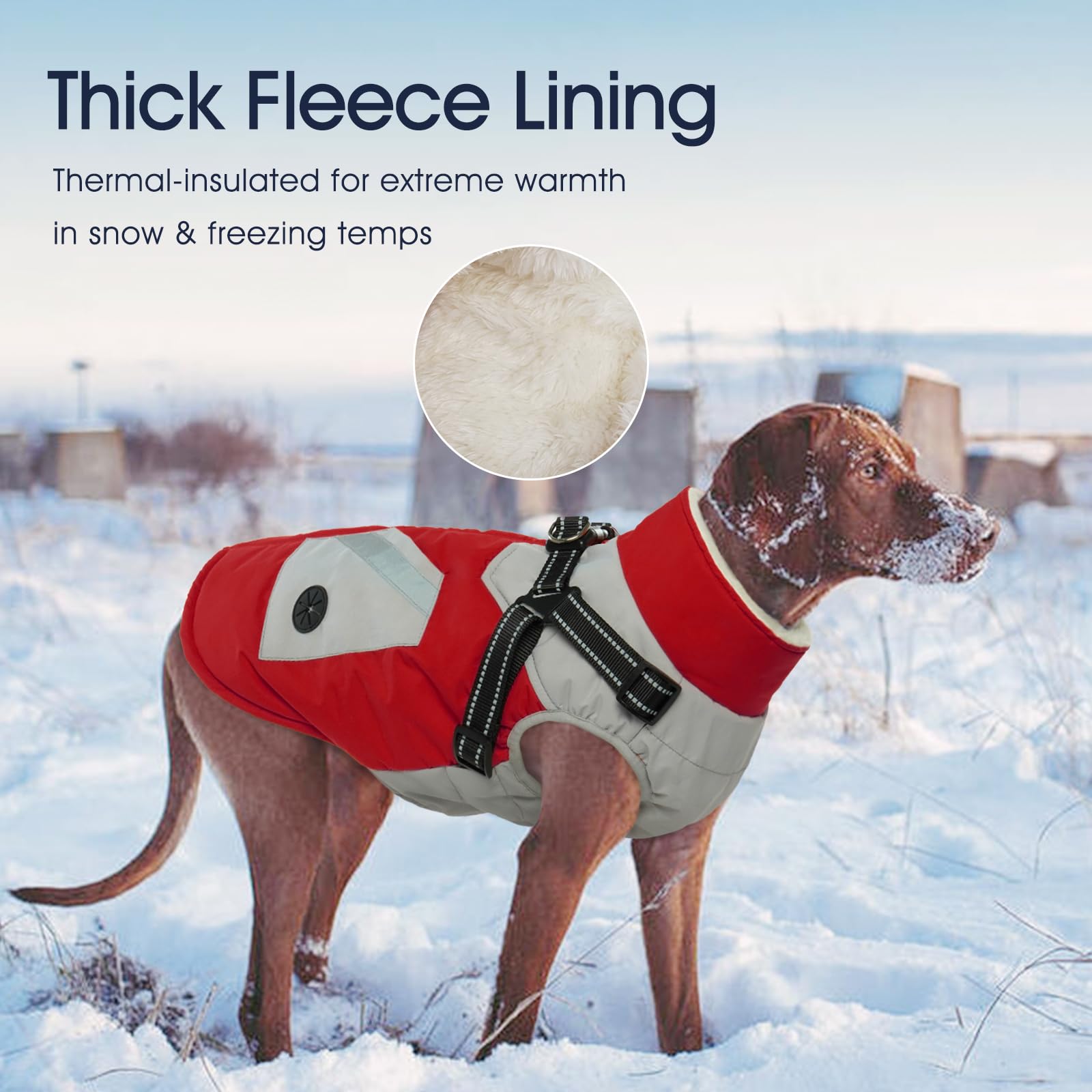 IECOii dog coat XXL warm fleece lining conveys cozy insulation for camping.
