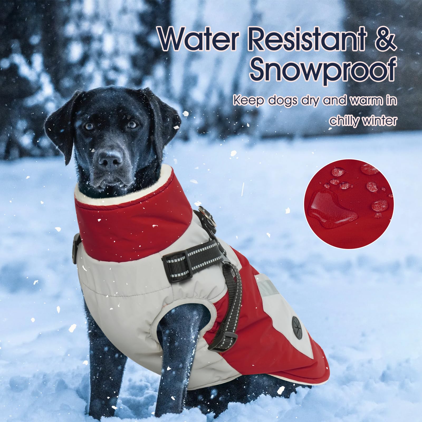 IECOii dog coat XXL zipper pockets show practical storage for treats.