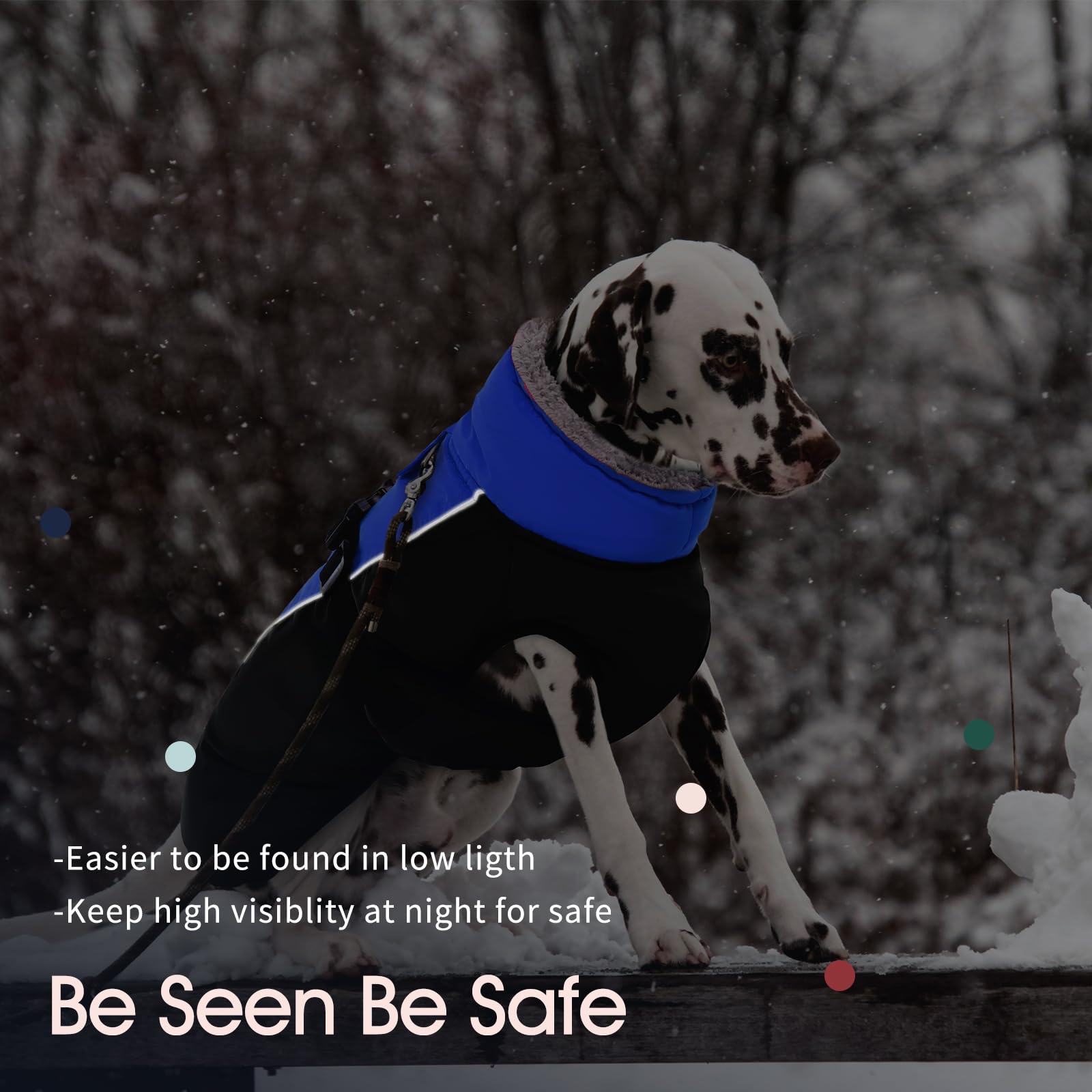 IECOii reflective back stripe enhances visibility during low-light walks
