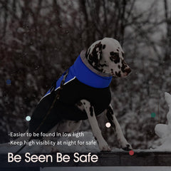 IECOii reflective back stripe enhances visibility during low-light walks