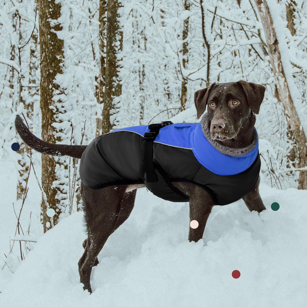 IECOii dog jacket in snowy outdoor scene for cold-weather adventures
