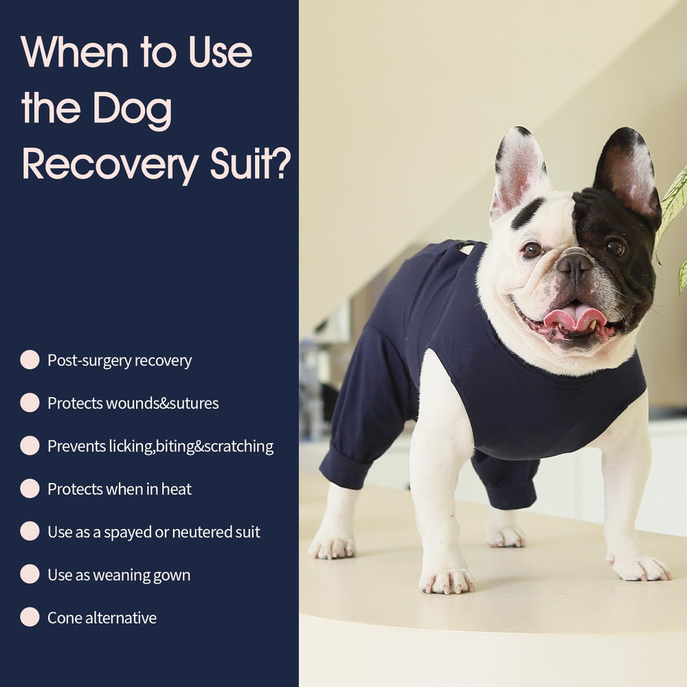 IECOii Dog Recovery Suit breathable material helps comfort during recovery.