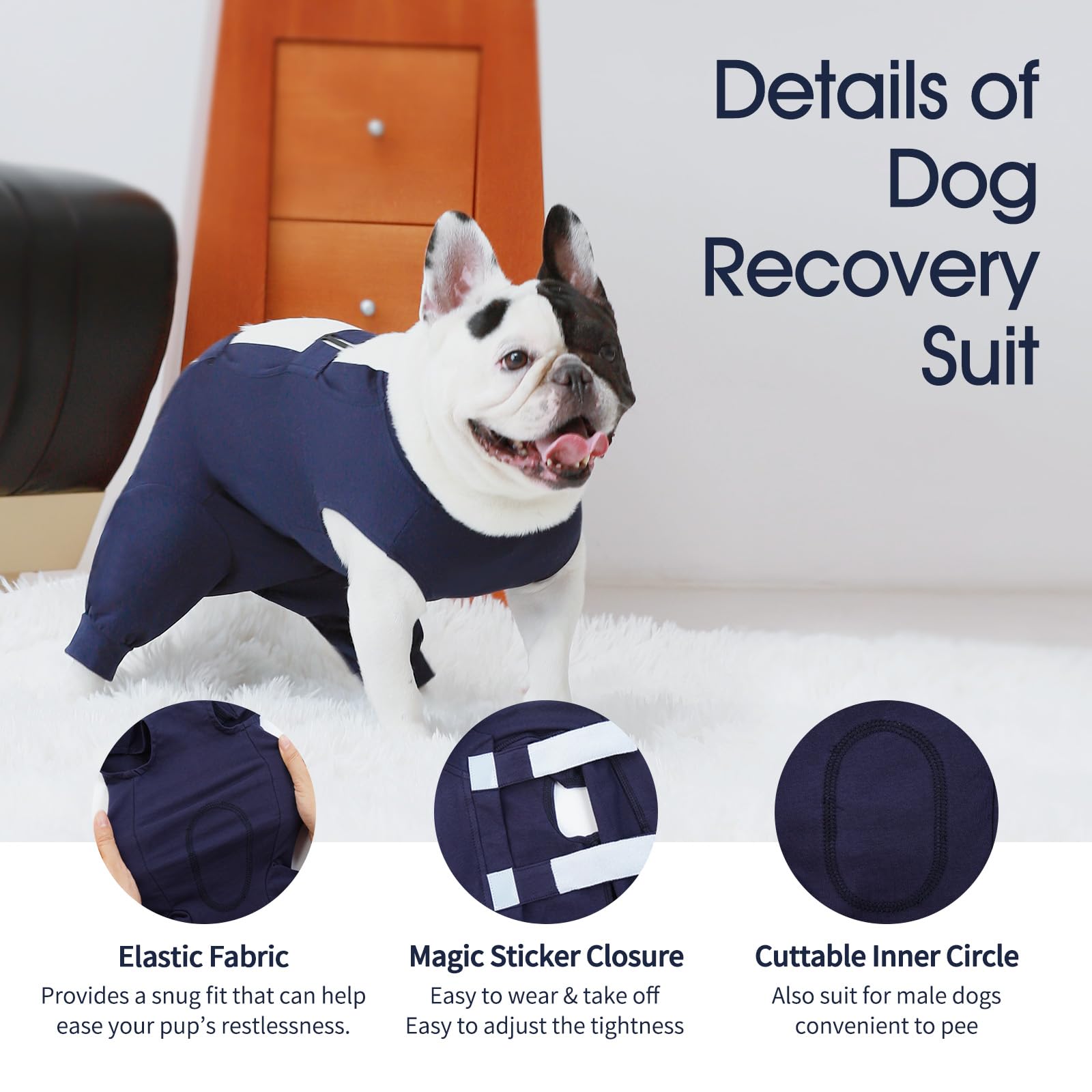 IECOii Dog Recovery Suit worn on a dog during walk shows freedom of movement.