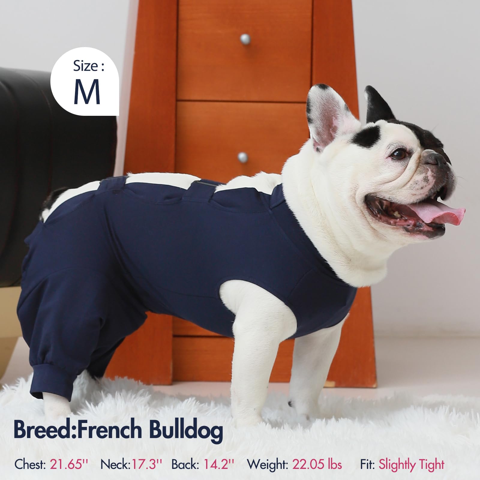 IECOii Dog Recovery Suit demonstrates pee-opening adjustment for easy bathroom breaks.