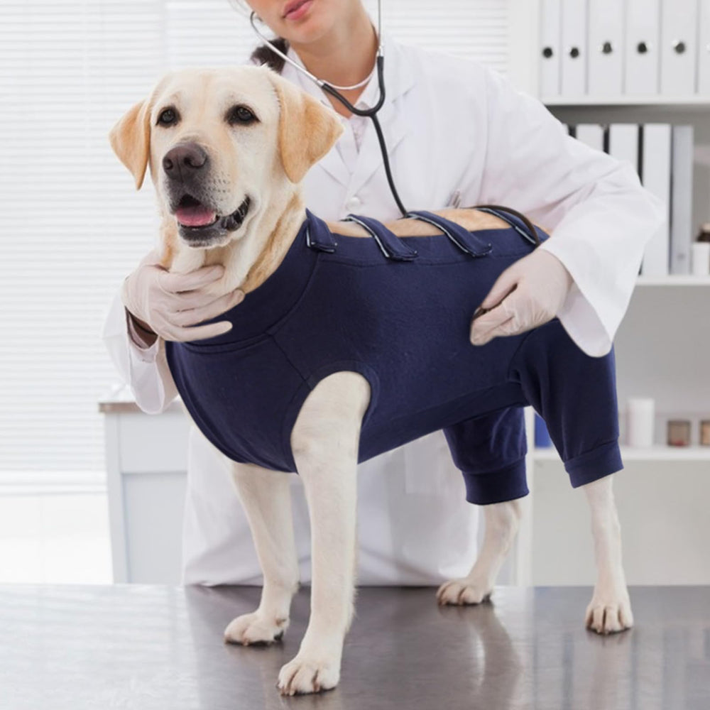 IECOii Dog Recovery Suit size guide visuals help you pick the right fit.