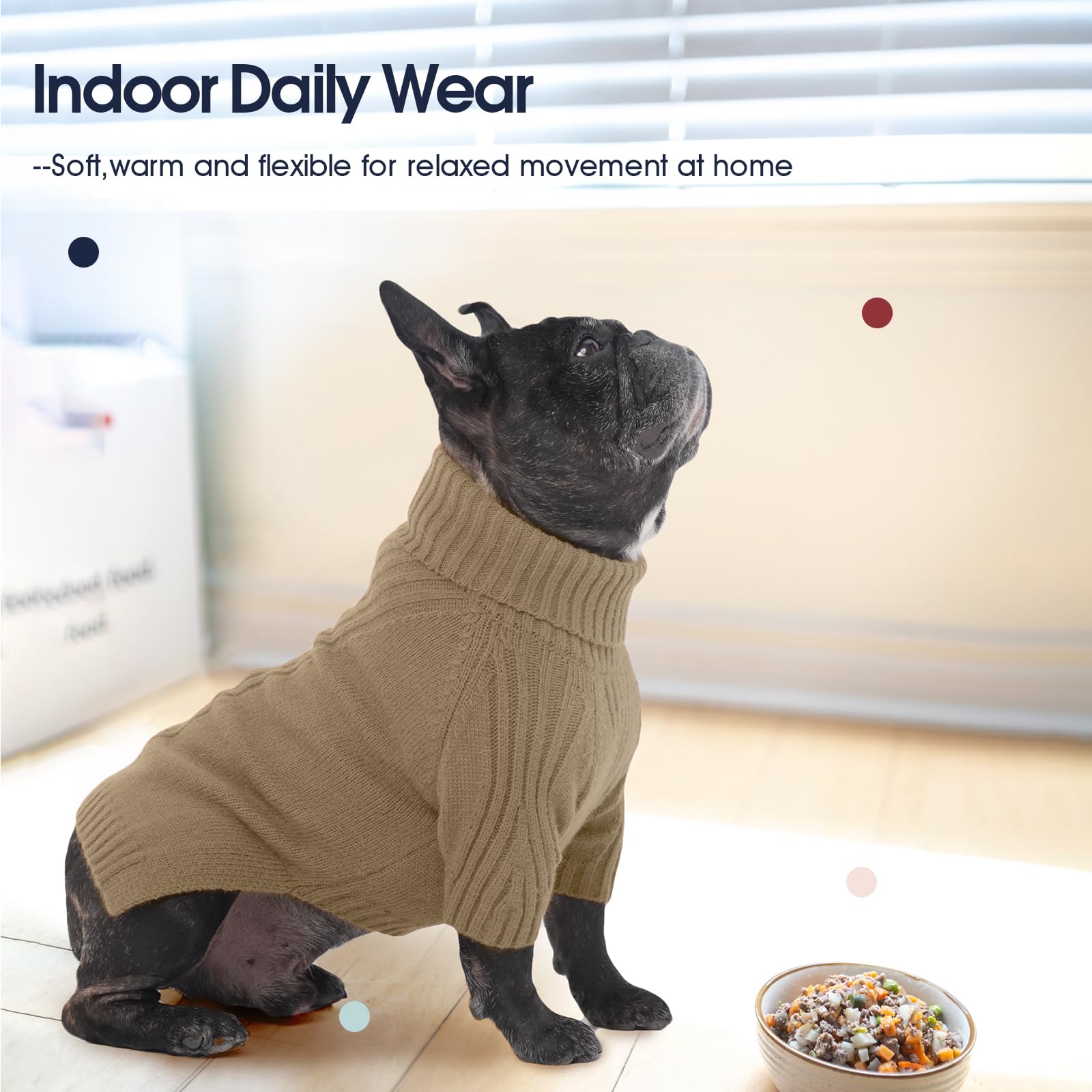 IECOii holiday styling options for festive looks on your dog.
