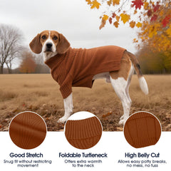 IECOii dog sweater sleeves provide full-coverage warmth during cold walks