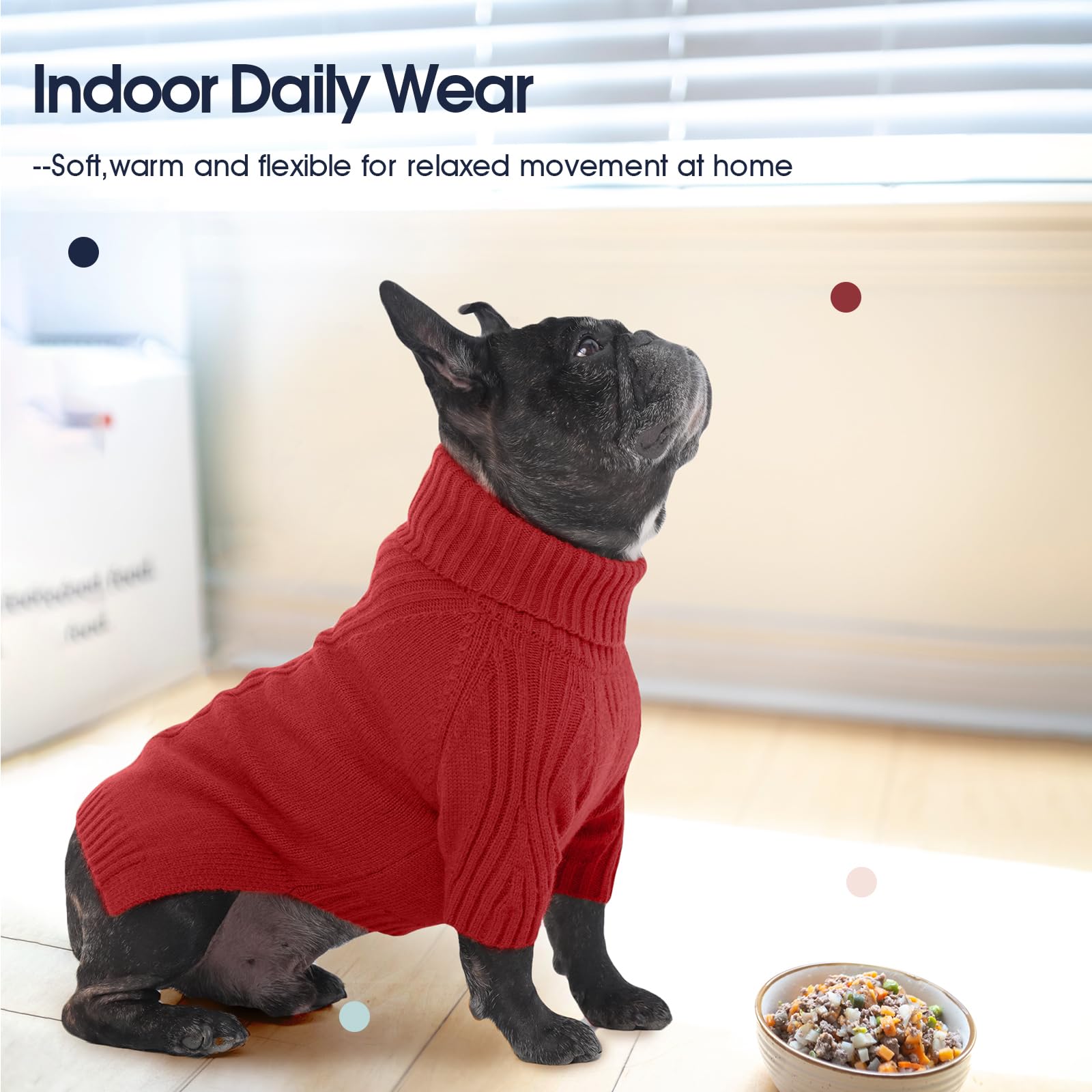 IECOii color variety offers style options for dogs