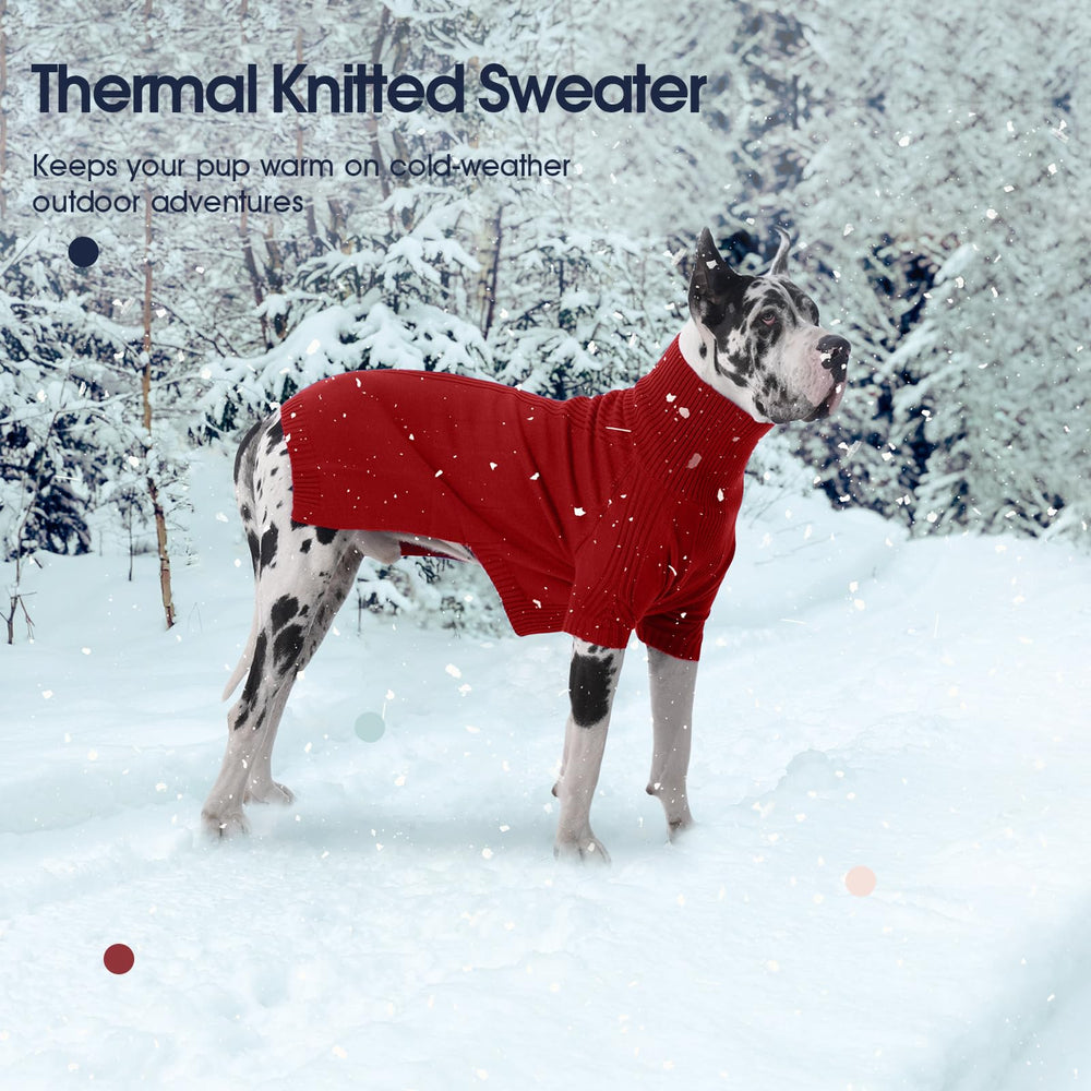 IECOii winter warmth helps dogs stay warm during cold walks