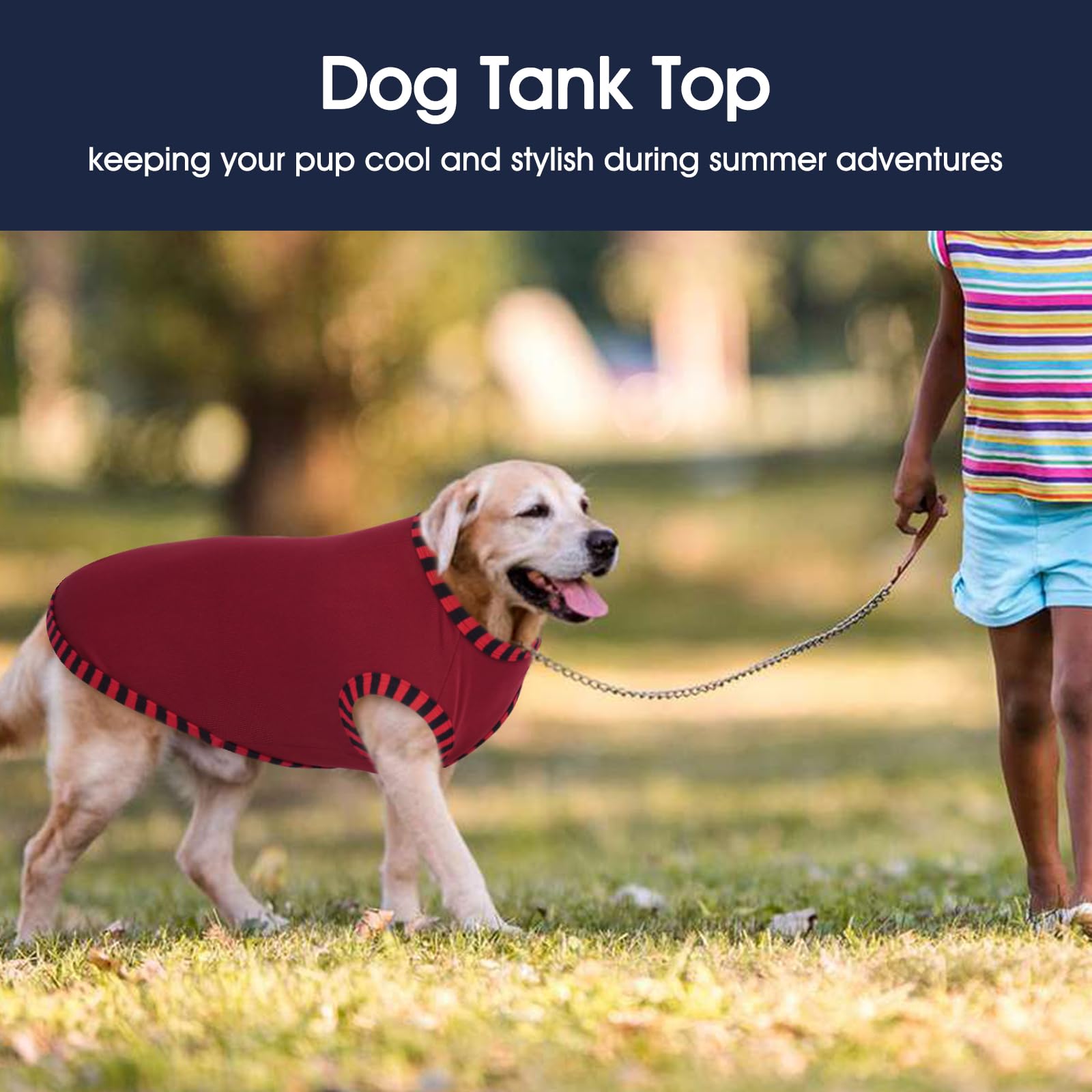 IECOii dog T-shirt Coffee Dark Red on-dog image illustrates comfortable fit