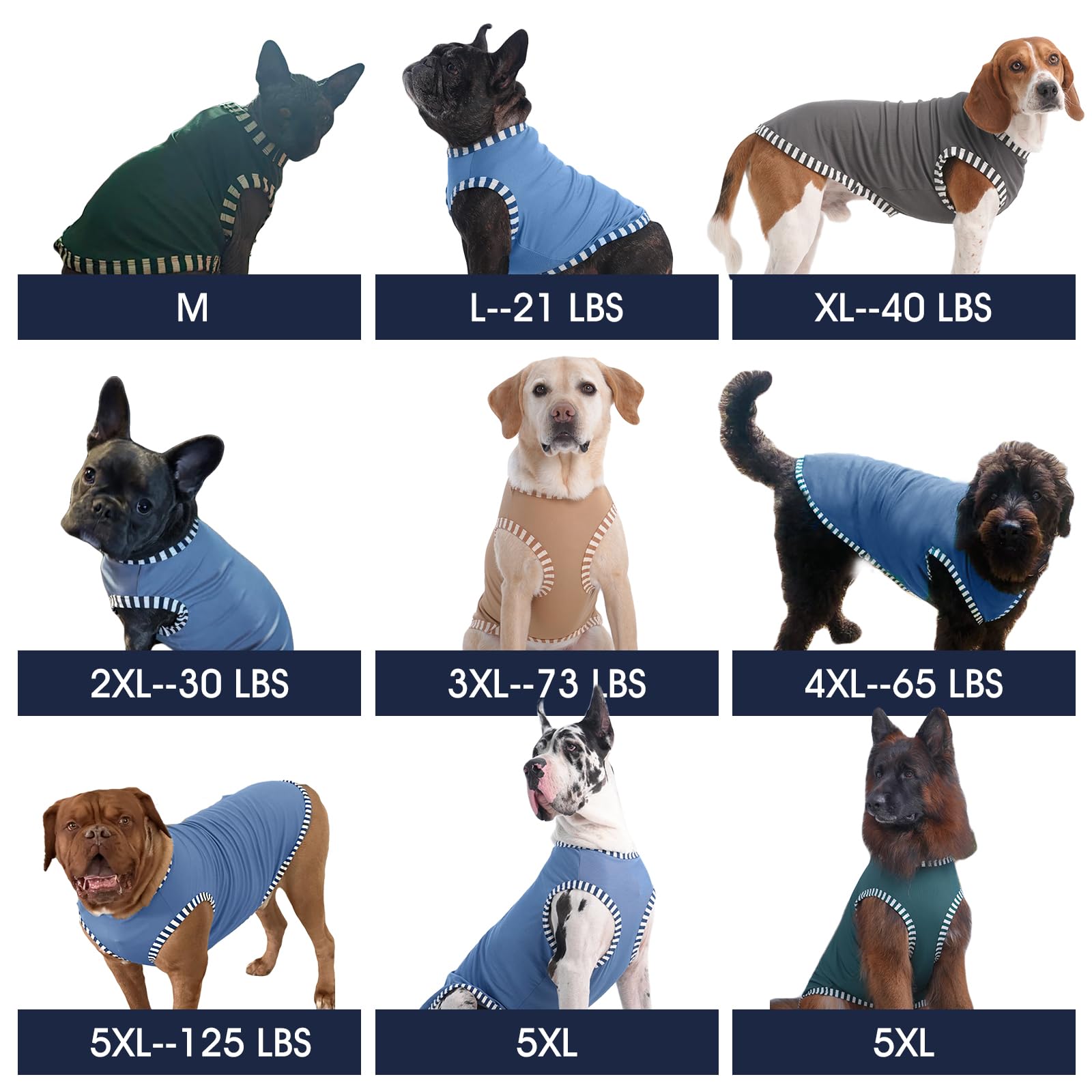 IECOii color-retention image shows durable daily wear after washes.