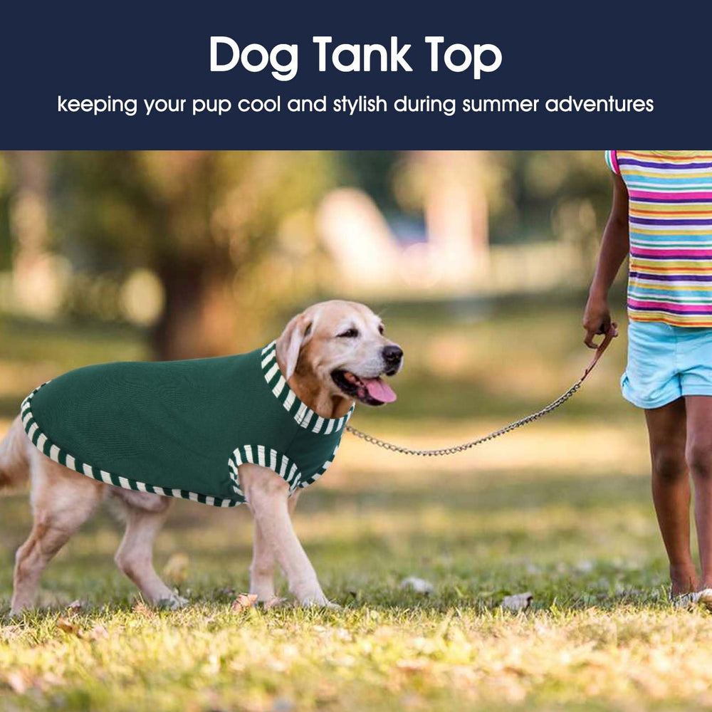 IECOii easy-on-off design shown on a dog wearing the shirt.