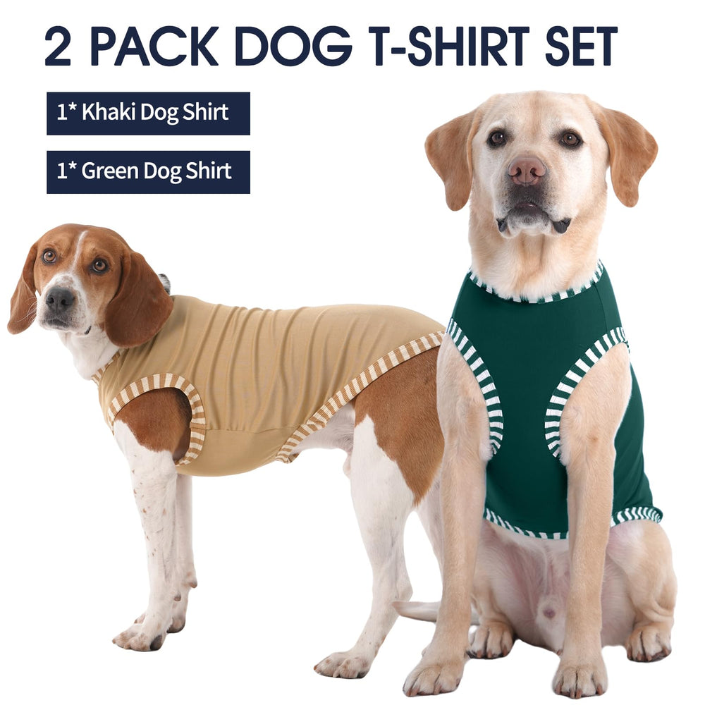 IECOii large dog wearing the khaki-green tee on a walk highlighting cooling comfort.