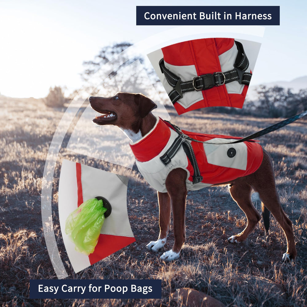 IECOii harness-built-in coat for medium dogs with adjustable straps for secure fit