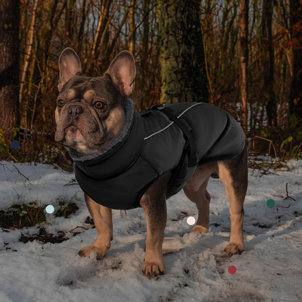 IECOii Extra Warm Coat adjustable strap shows easy on/off for quick outdoor adventures.