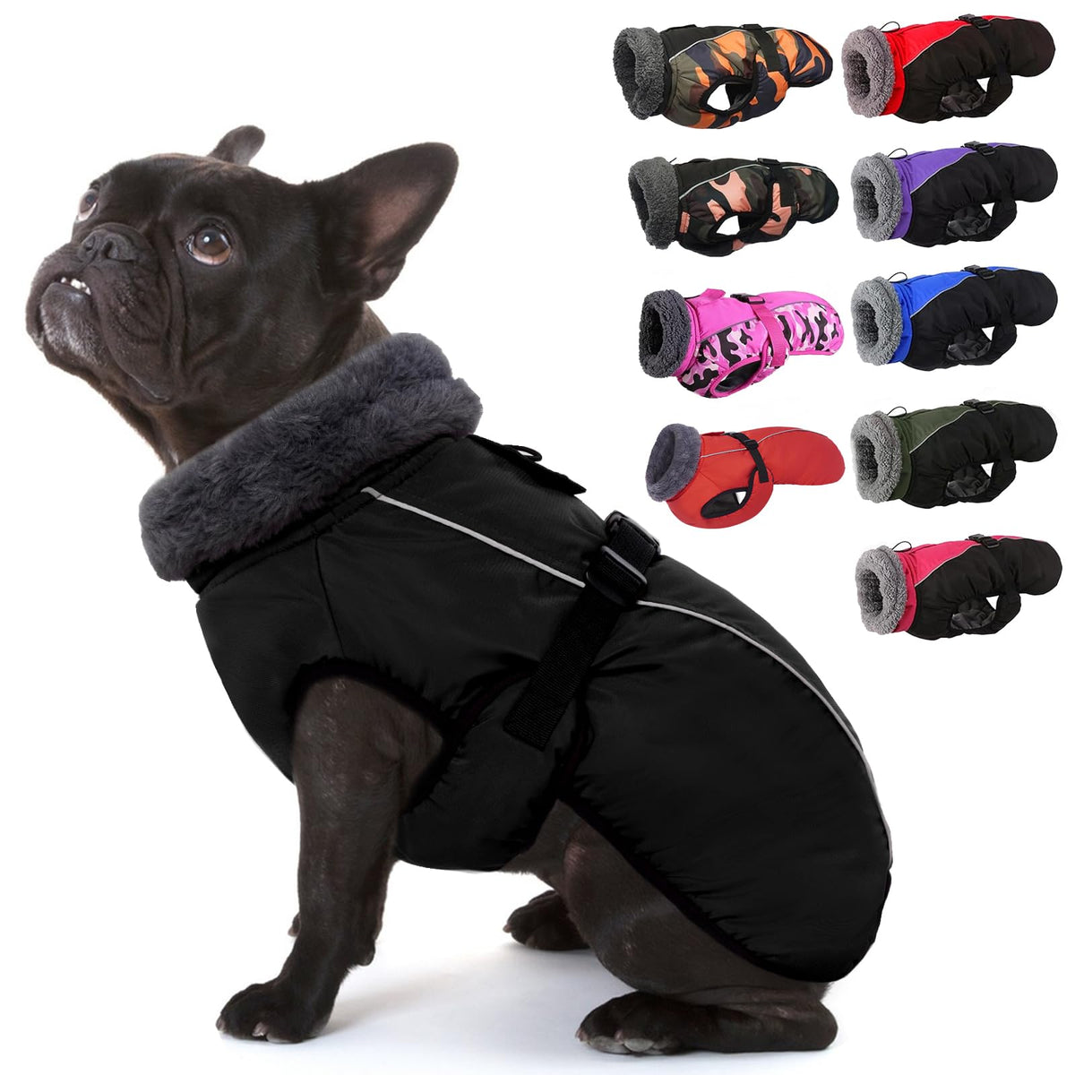 IECOii Extra Warm Coat buckle closeup demonstrates secure fit for daily walks.