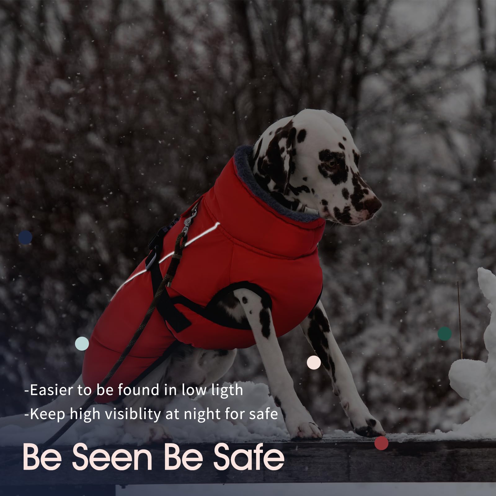 IECOii Extra Warm Dog Coat with buckle closure for easy on/off during outdoor activities.