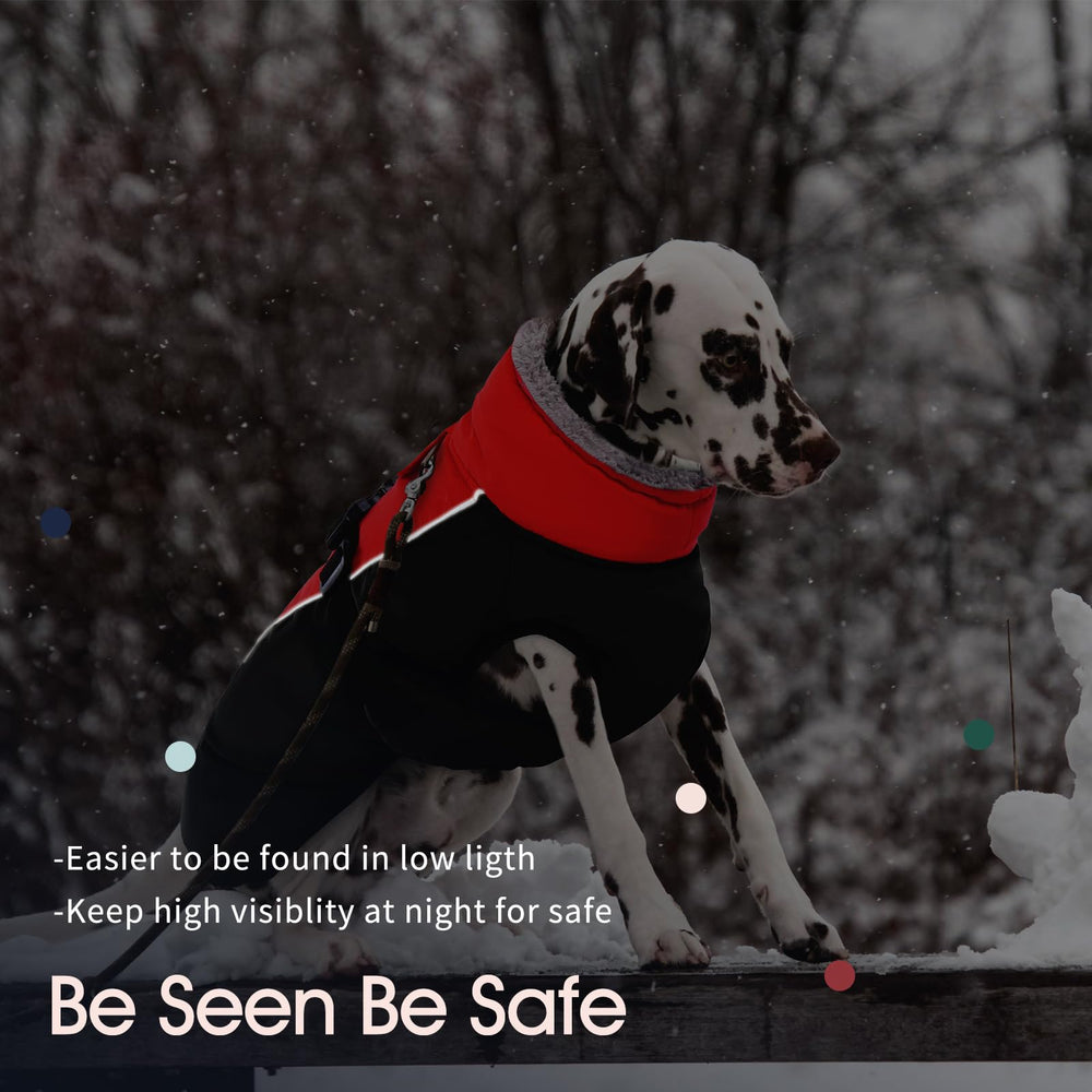IECOii extra-warm-dog-coat harness-hole-buckle enables easy secure fit
