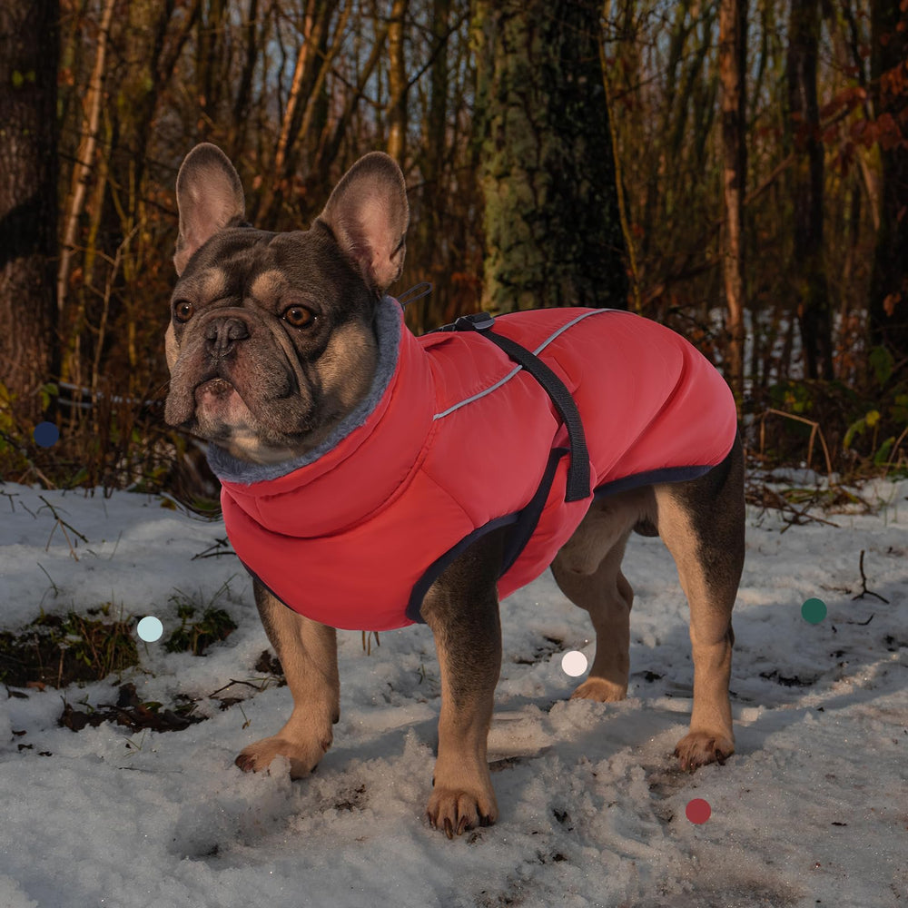 IECOii Extra Warm Dog Coat leash hole compatible with harnesses for safe outdoor use.