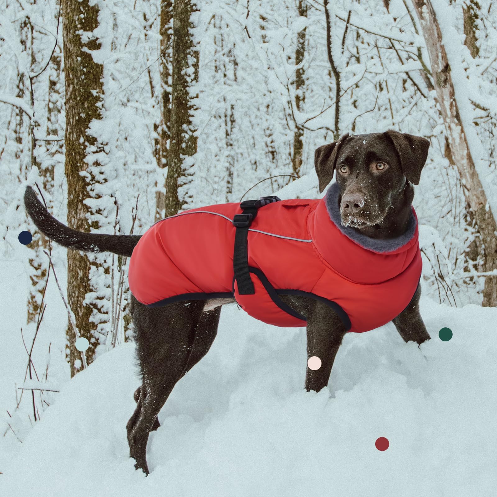 IECOii Extra Warm Dog Coat reflective strip improves visibility on nighttime walks.