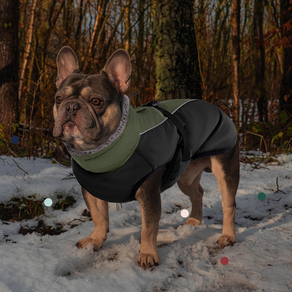 IECOii extra warm dog coat waterproof fabric protects against drizzle and snow.