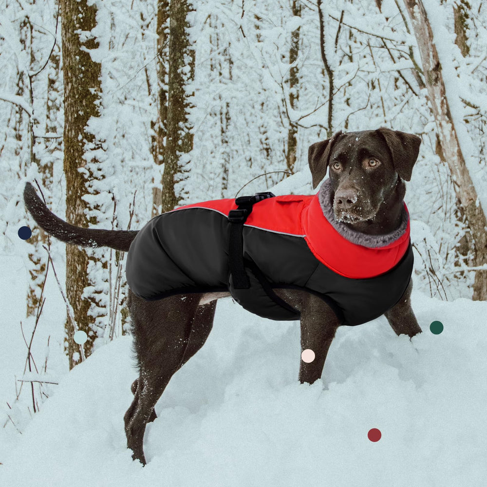 IECOii extra-warm-dog-coat waterproof-windproof fabric keeps dogs dry outdoors